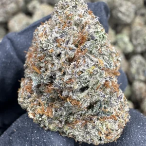 Black Ice - AAA INDOOR