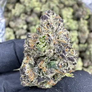 Blue Andeze - EXOTIC INDOOR