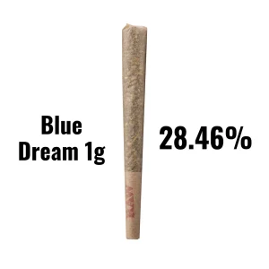 Blue Dream - 1g - bulk prerolls