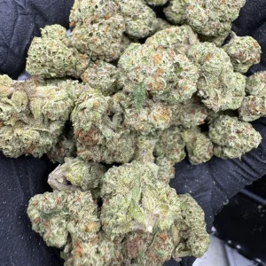 Blueberry Muffin - Gold Nuggets Flower - AA Indoor SMALLS