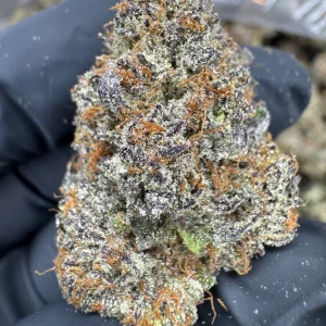 Cereal Milk - AAA INDOOR