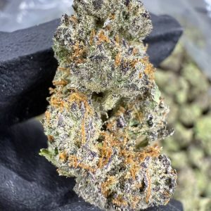 Gumbo FLOWER - EXOTIC INDOOR