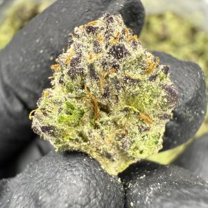 Gumbo - Gold Nuggets Flower Exotic SMALLS