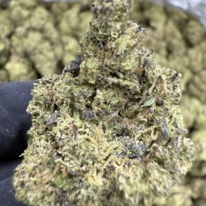 Gush Mintz FLOWER - EXOTIC INDOOR