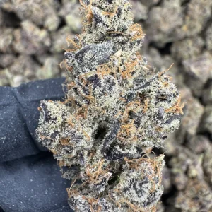 Peanut Butter Apricot FLOWER - EXOTIC INDOOR