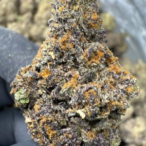 Pink Runtz - EXOTIC INDOOR