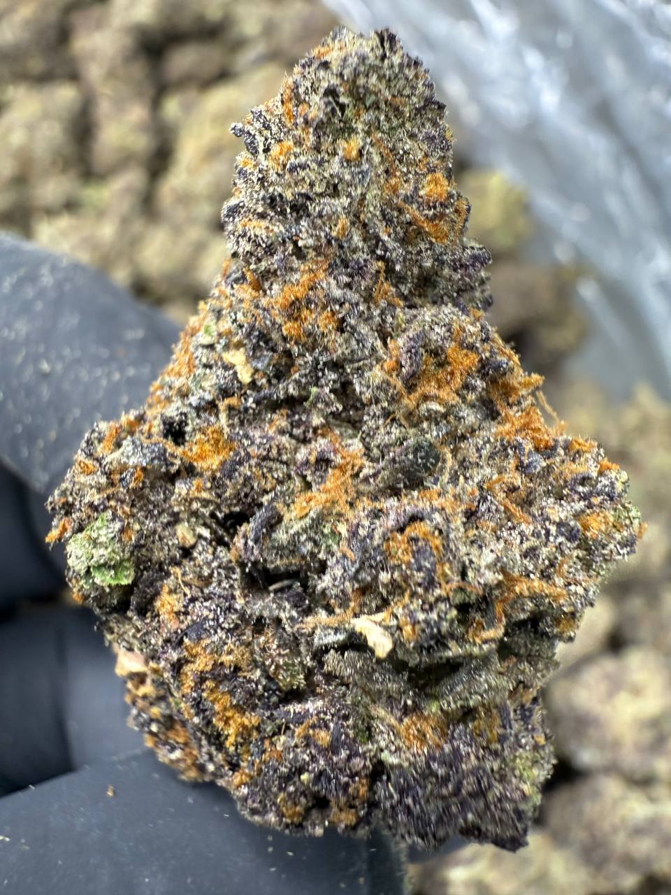 Pink Runtz - EXOTIC INDOOR