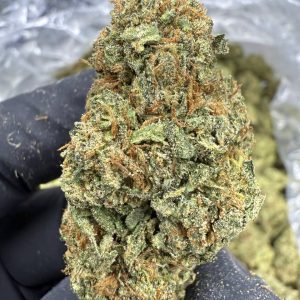 Rainbow Runtz - TOP SHELF