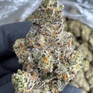 White Chocolate Chip - EXOTIC INDOOR