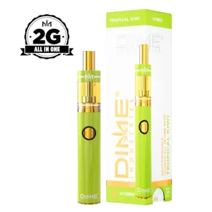 Disposable Vape – Tropical Kiwi