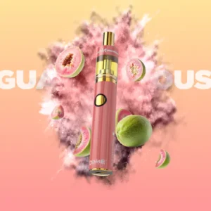 2g Disposable Vape – Guavalicious